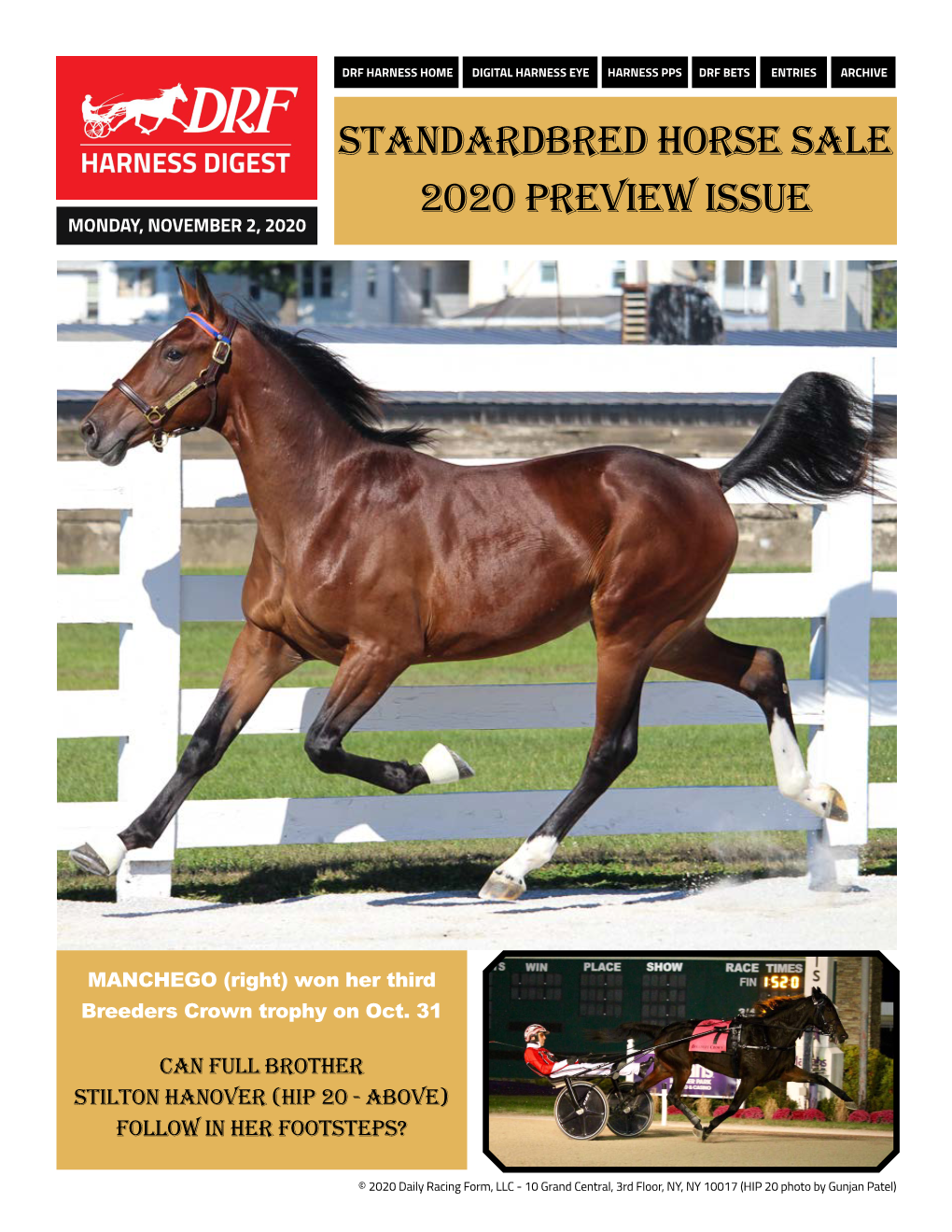 Standardbred Horse Sale 2020 PREVIEW Issue MONDAY, NOVEMBER 2, 2020