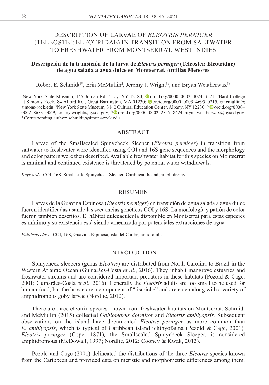 Description of Larvae of Eleotris Perniger (Teleostei: Eleotridae) in Transition from Saltwater to Freshwater from Montserrat, West Indies