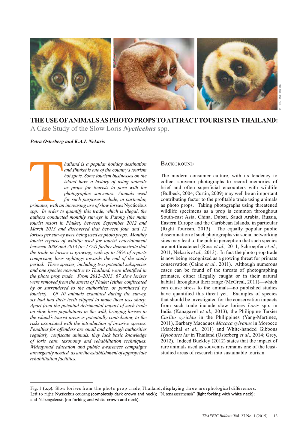 The Use of Animals As Photo Props to Attract Tourists in Thailand: a Case Study of the Slow Loris Nycticebus Spp