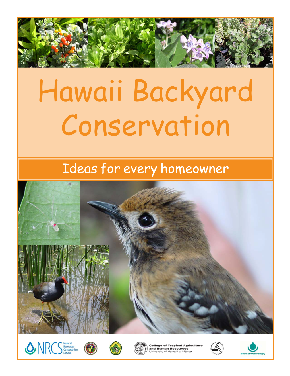 Hawaii Backyard Conservation