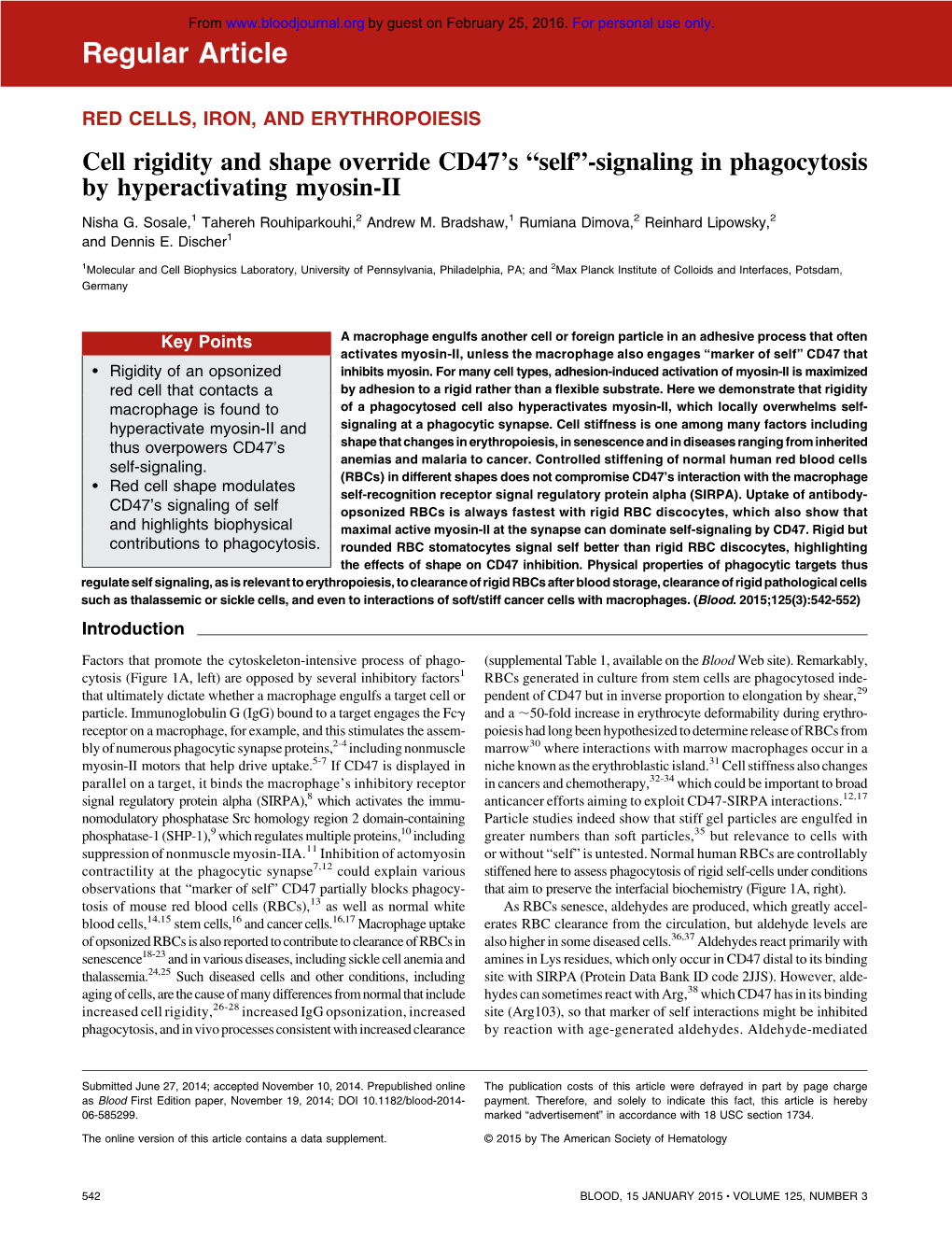 Cell Rigidity and Shape Override CD47's ``Self''-Signaling in Phagocytosis by Hyperactivating Myosin-II