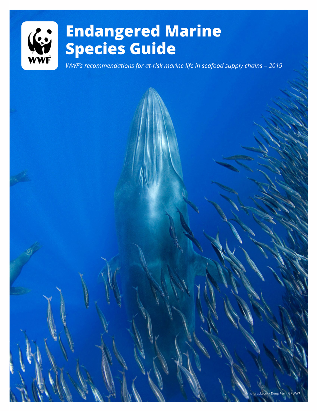 Endangered Marine Species Guide WWF’S Recommendations for At-Risk Marine Life in Seafood Supply Chains – 2019