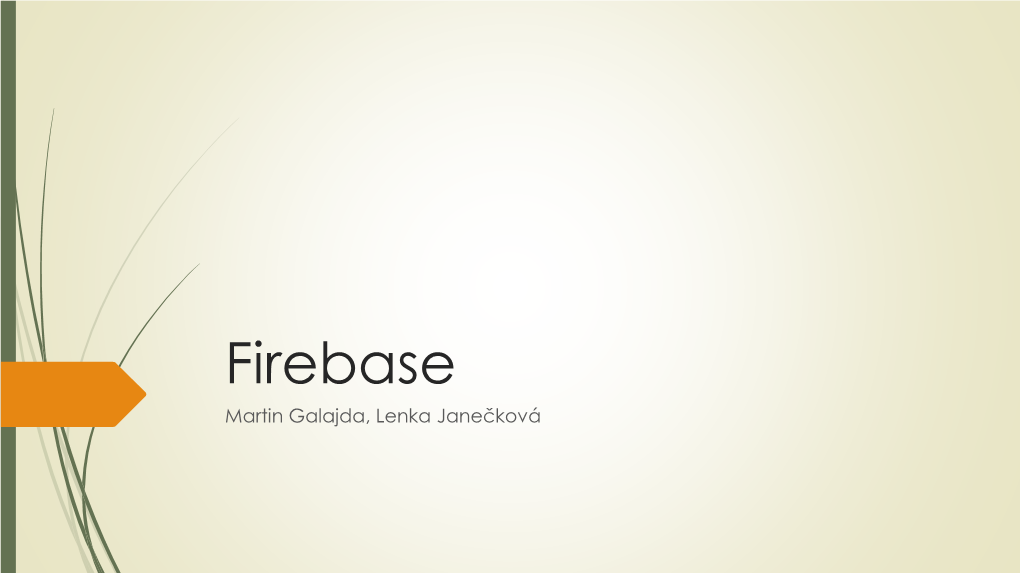 Firebase Martin Galajda, Lenka Janečková Introduction