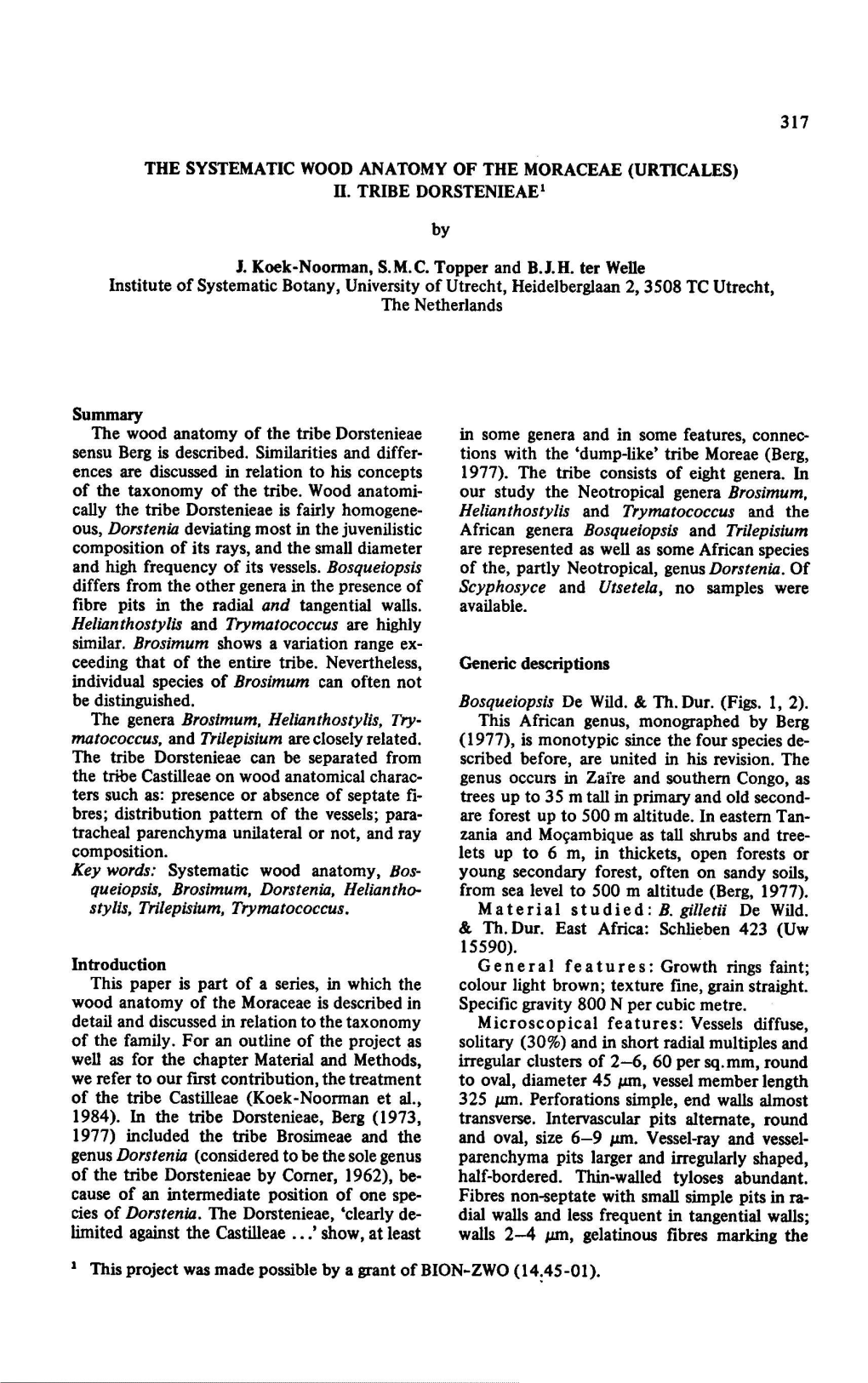 Summary Thickets, Microscopical Pits Larger Tyloses ..Show, at Least Scyphosyce