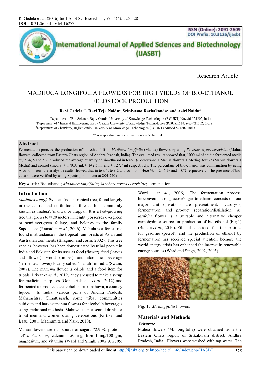 Madhuca Longifolia Flowers for High Yields of Bio-Ethanol Feedstock Production
