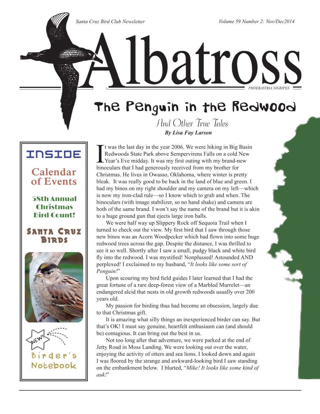 Albatross 59-2