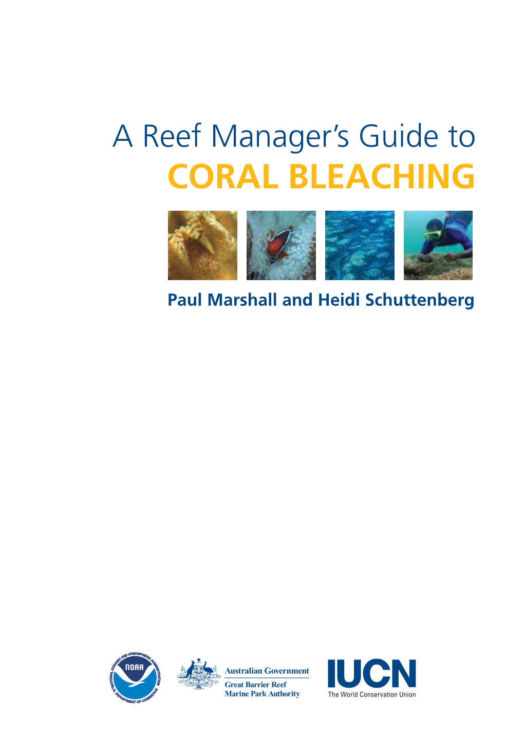 A Reef Manager's Guide to Coral Bleaching