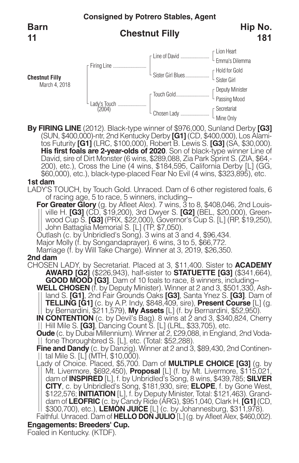 Chestnut Filly Barn 11 Hip No