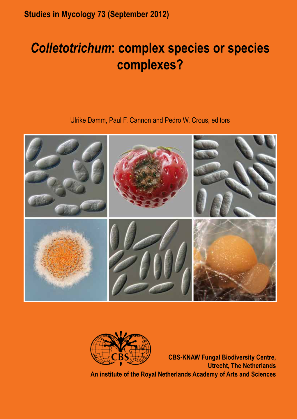 Colletotrichum: Complex Species Or Species Complexes?