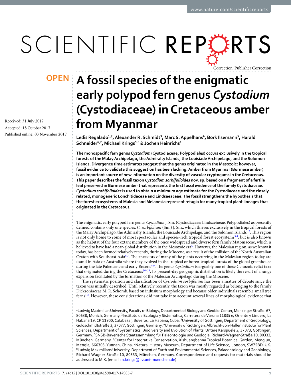 In Cretaceous Amber from Myanmar