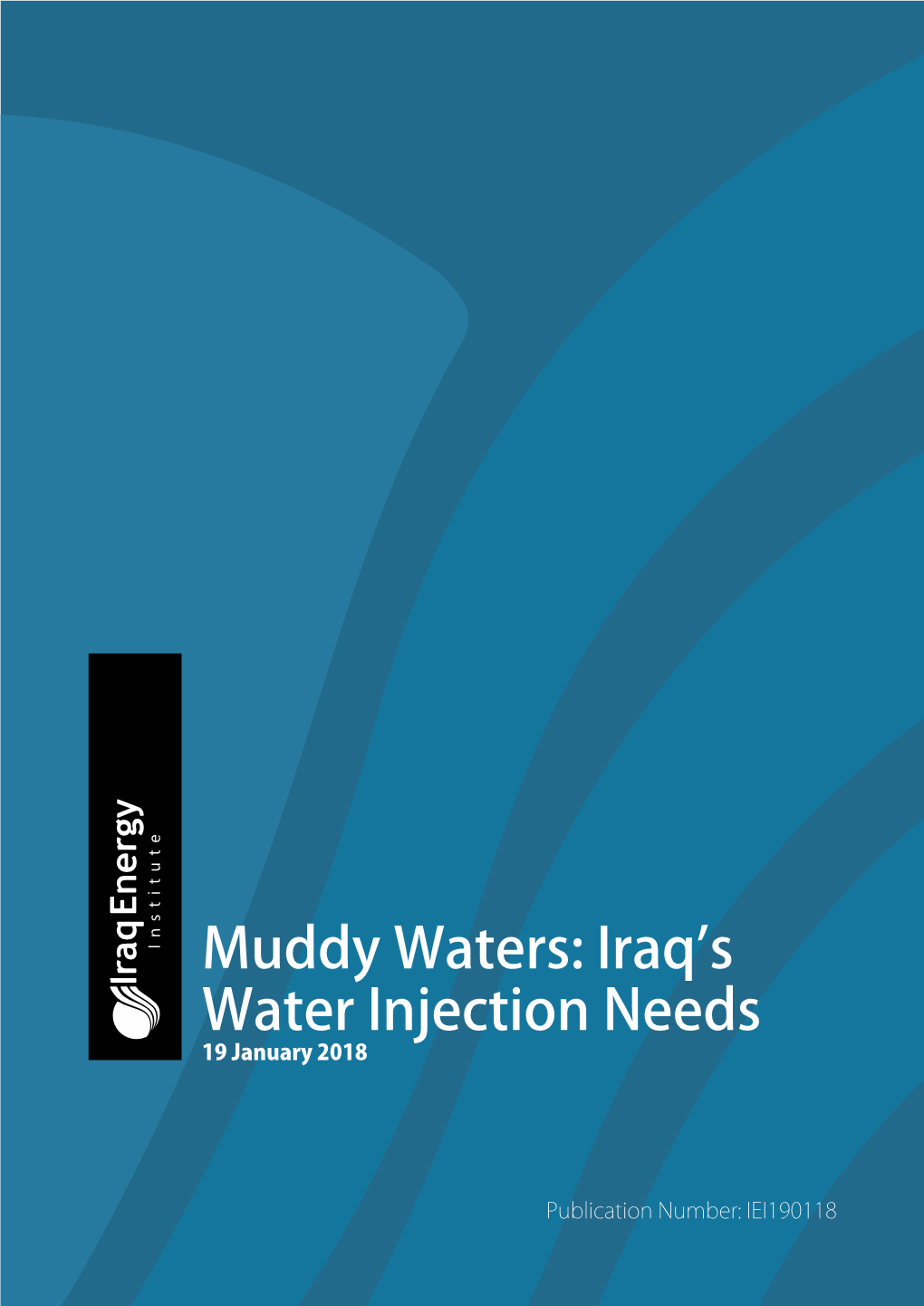 Muddy Waters: Iraqʼs Water Injection Needs