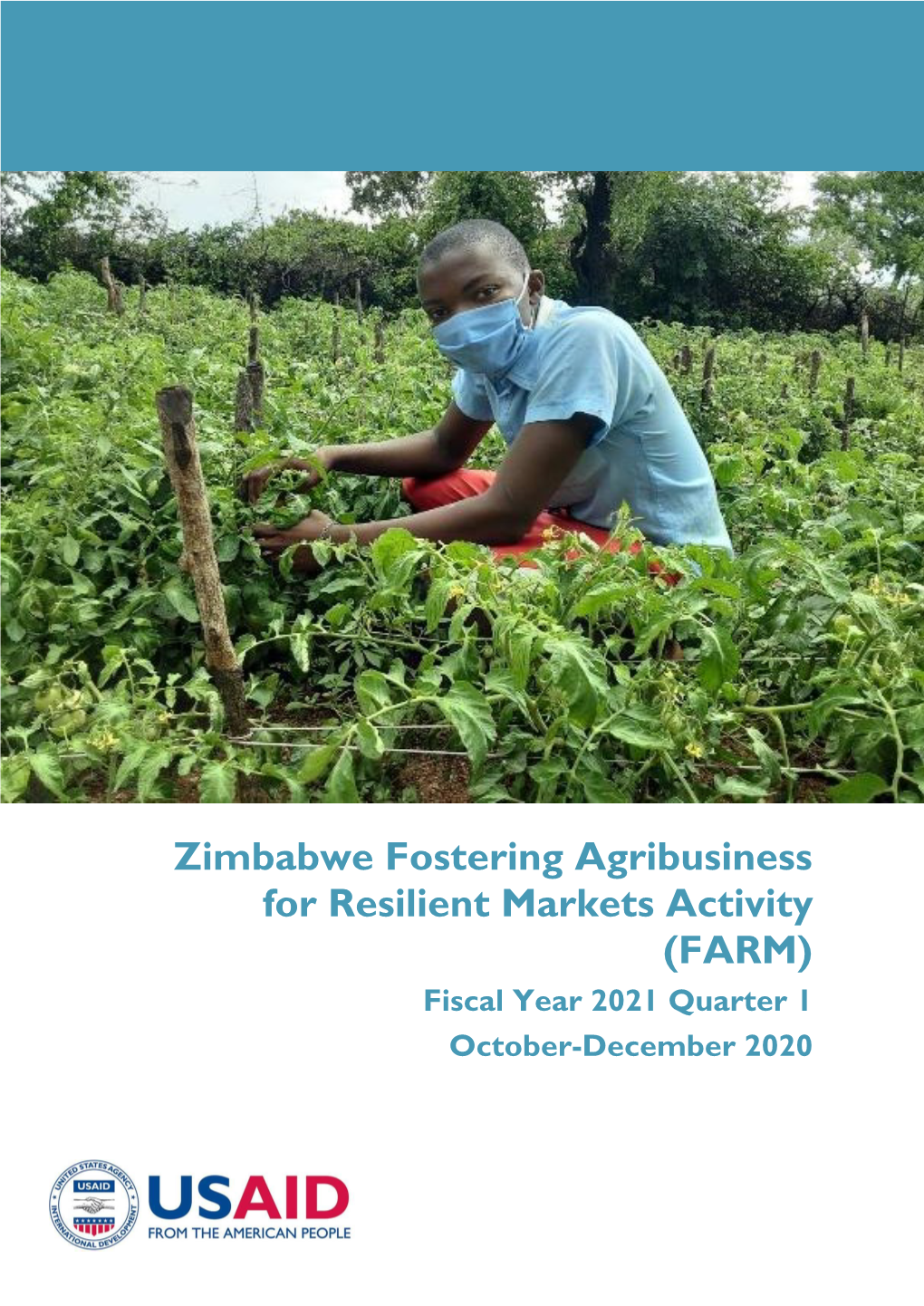 Zimbabwe Fostering Agribusiness for Resilient Markets Activity (FARM) Fiscal Year 2021 Quarter 1 October-December 2020