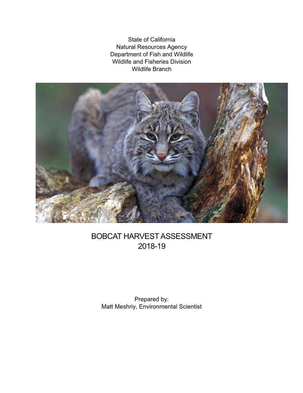 Bobcat Harvest Assessment 2018-19