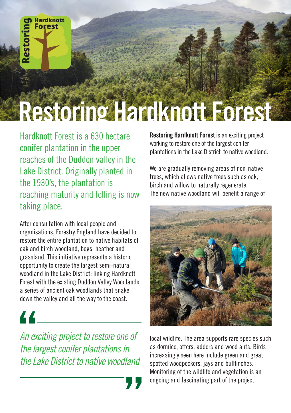 Restoring Hardknott Forest