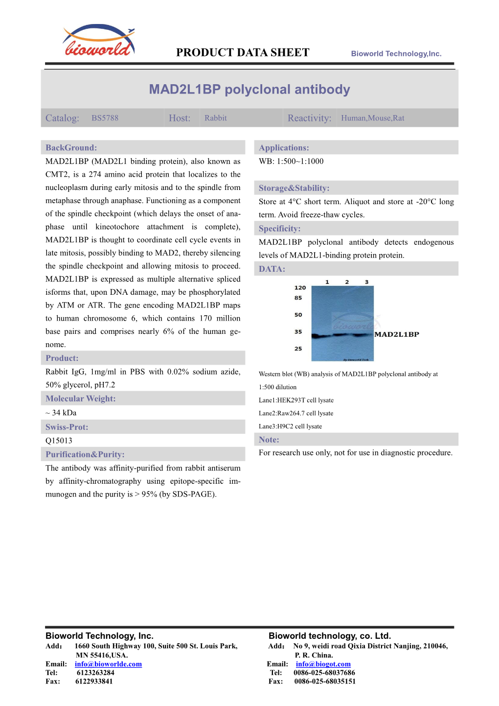 MAD2L1BP Polyclonal Antibody