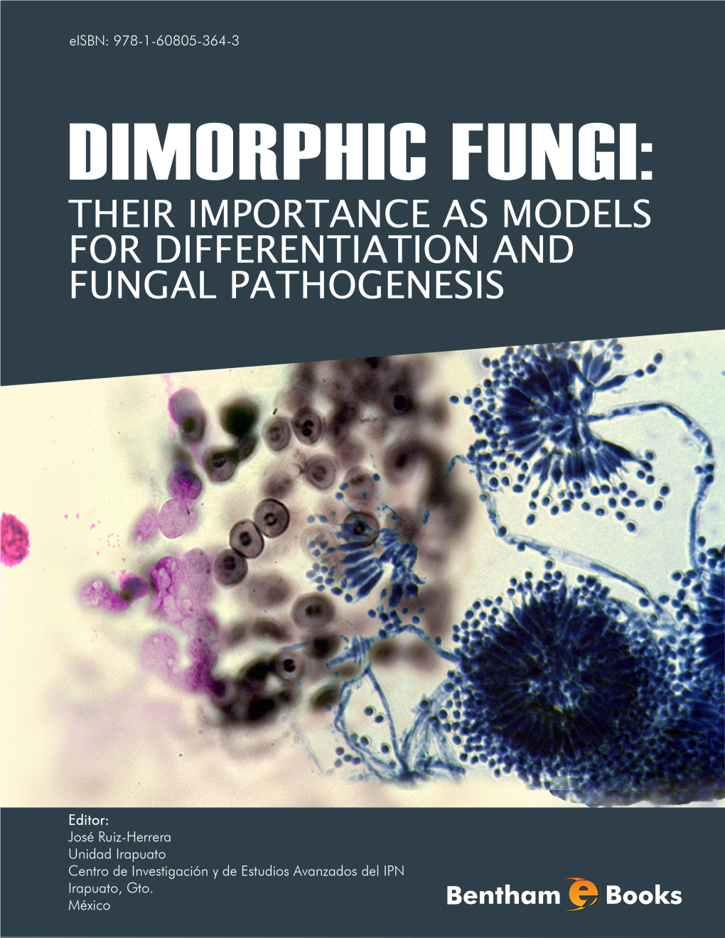 Dimorphic Fungi III-09 Copia 2.Pdf