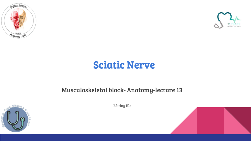 Sciatic Nerve