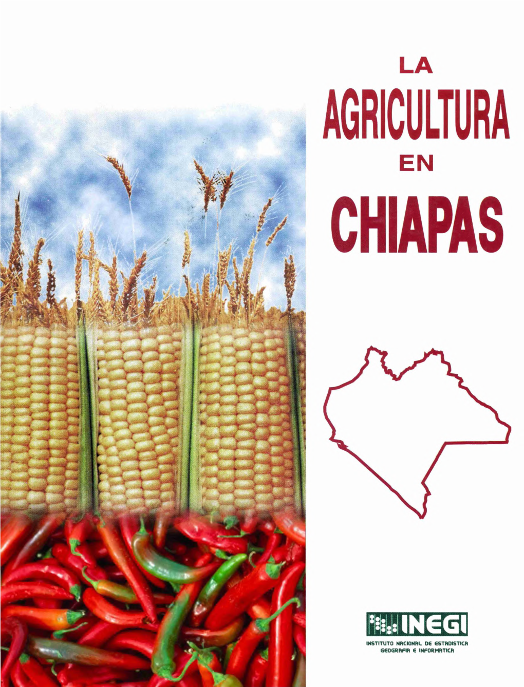 La Agricultura En Chiapas