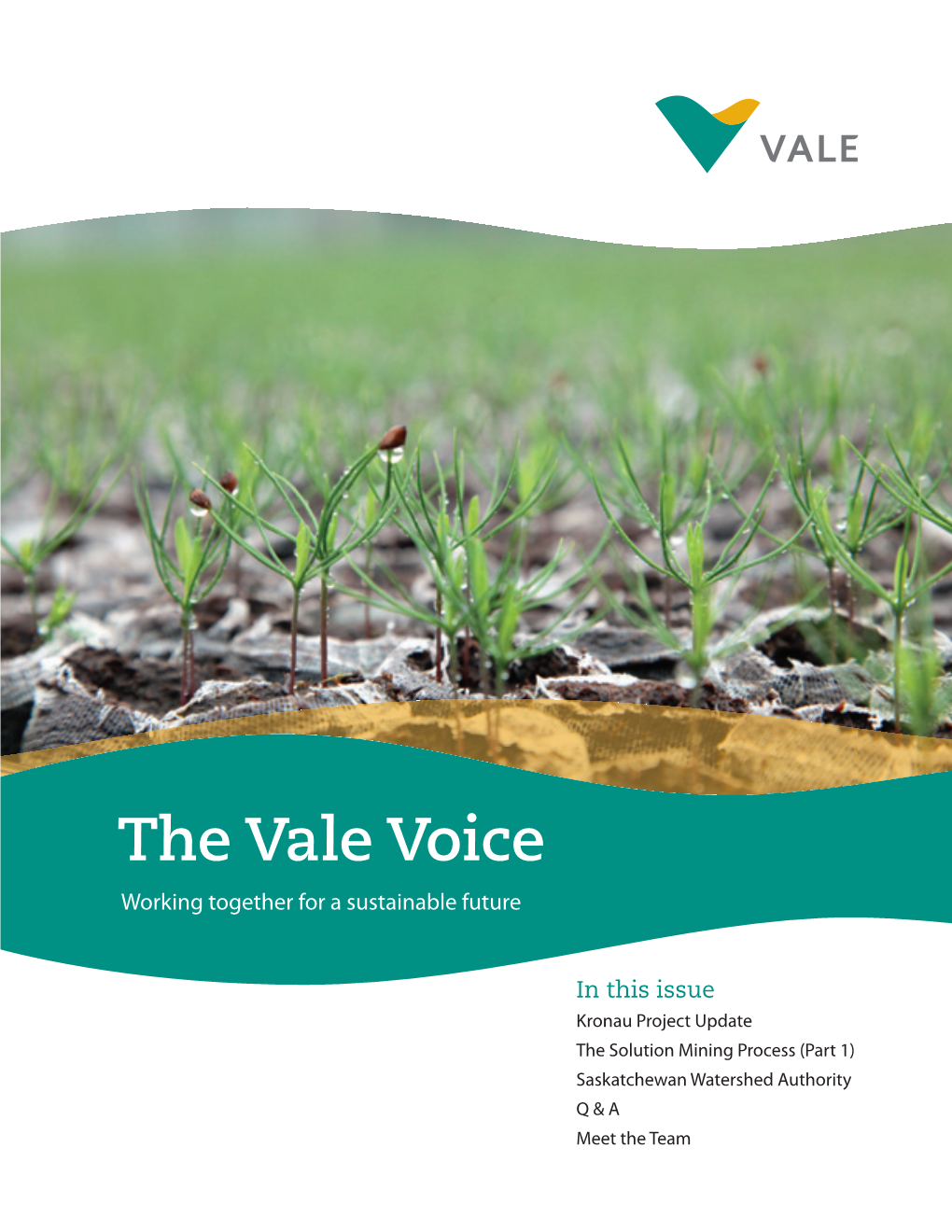 The Vale Voice Working Together for a Sustainable Future