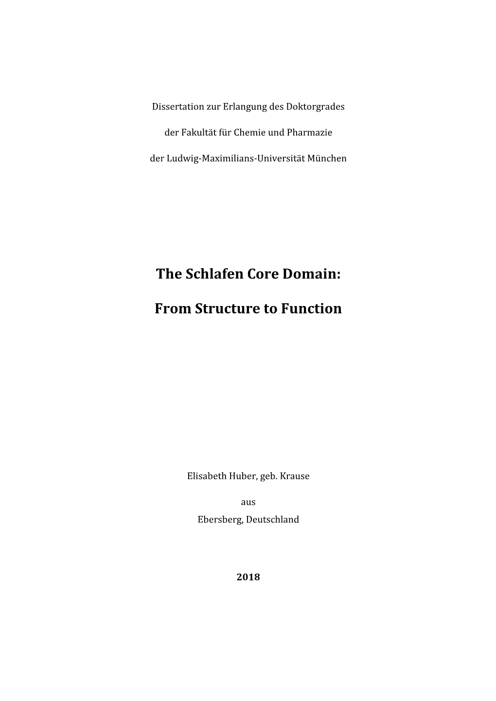 The Schlafen Core Domain: from Structure to Function