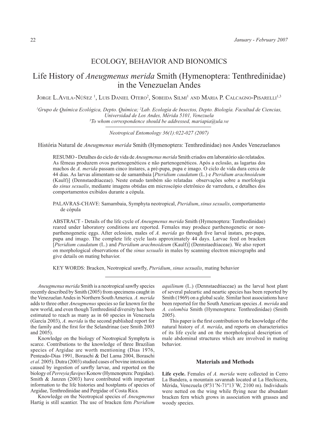 Life History of Aneugmenus Merida Smith (Hymenoptera: Tenthredinidae) in the Venezuelan Andes