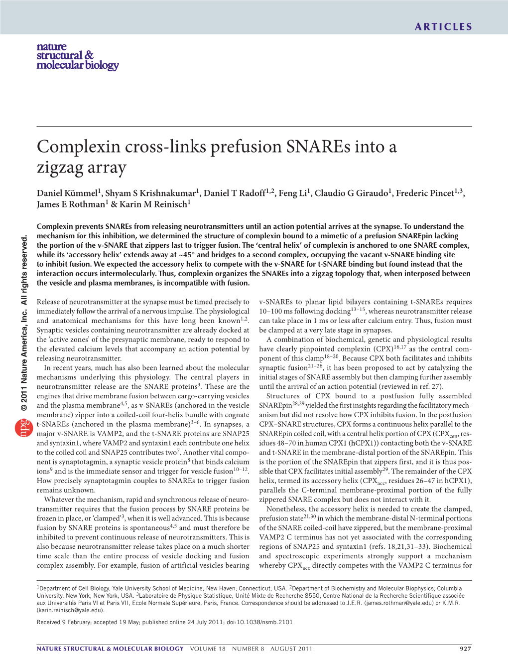 Complexin Cross-Links Prefusion Snares Into a Zigzag Array