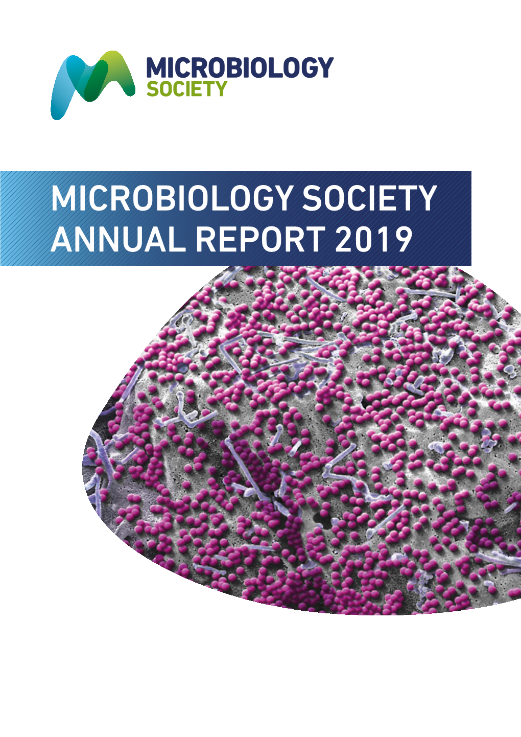 MICROBIOLOGY SOCIETY ANNUAL REPORT 2019 Microbiology Society (Limited by Guarantee)