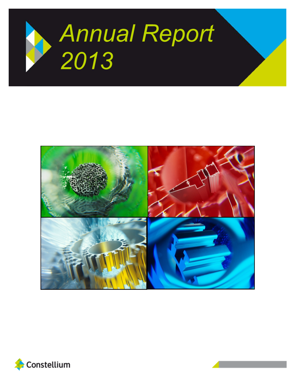 2013 Annual Report