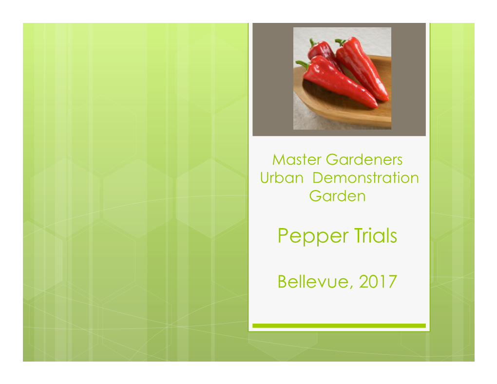 2017 Pepper Roster.Pptx