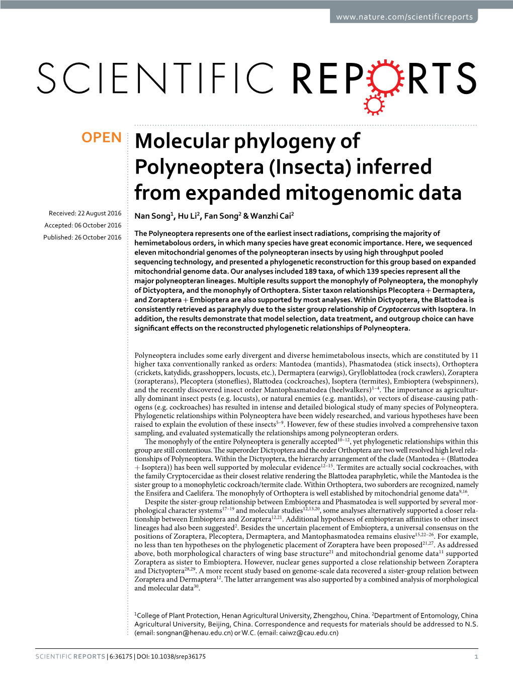 Molecular Phylogeny of Polyneoptera