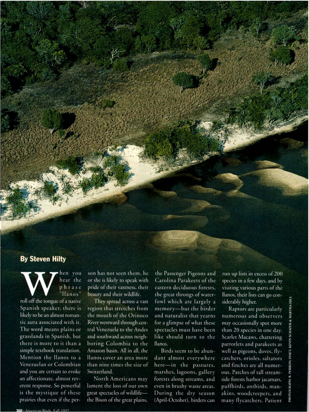 Birding the Venezuelan Llanos