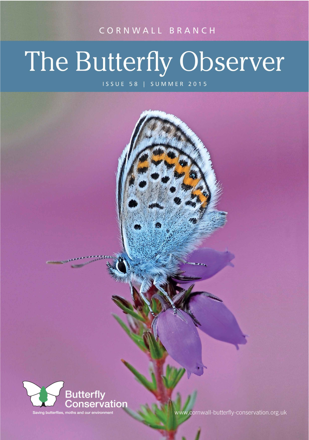 Butterfly Observer 58