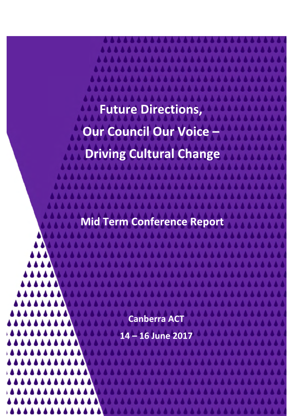 Future Directions, Our Council Our Voice – Driving Cultural Change