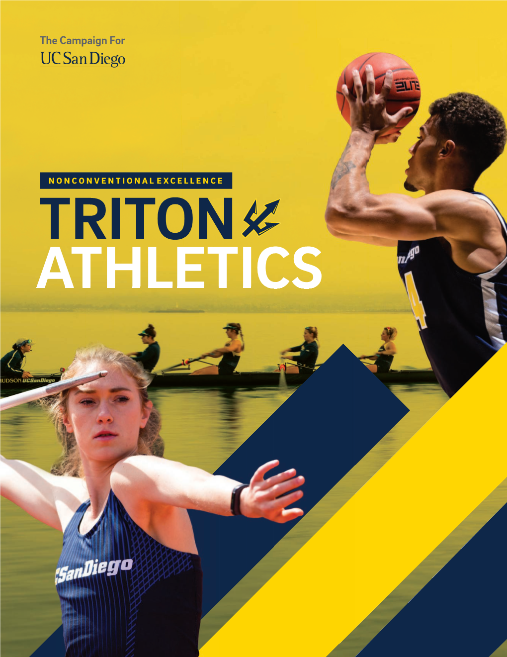 ATH Triton Athletics Case for Support R4-Guts Only.Indd