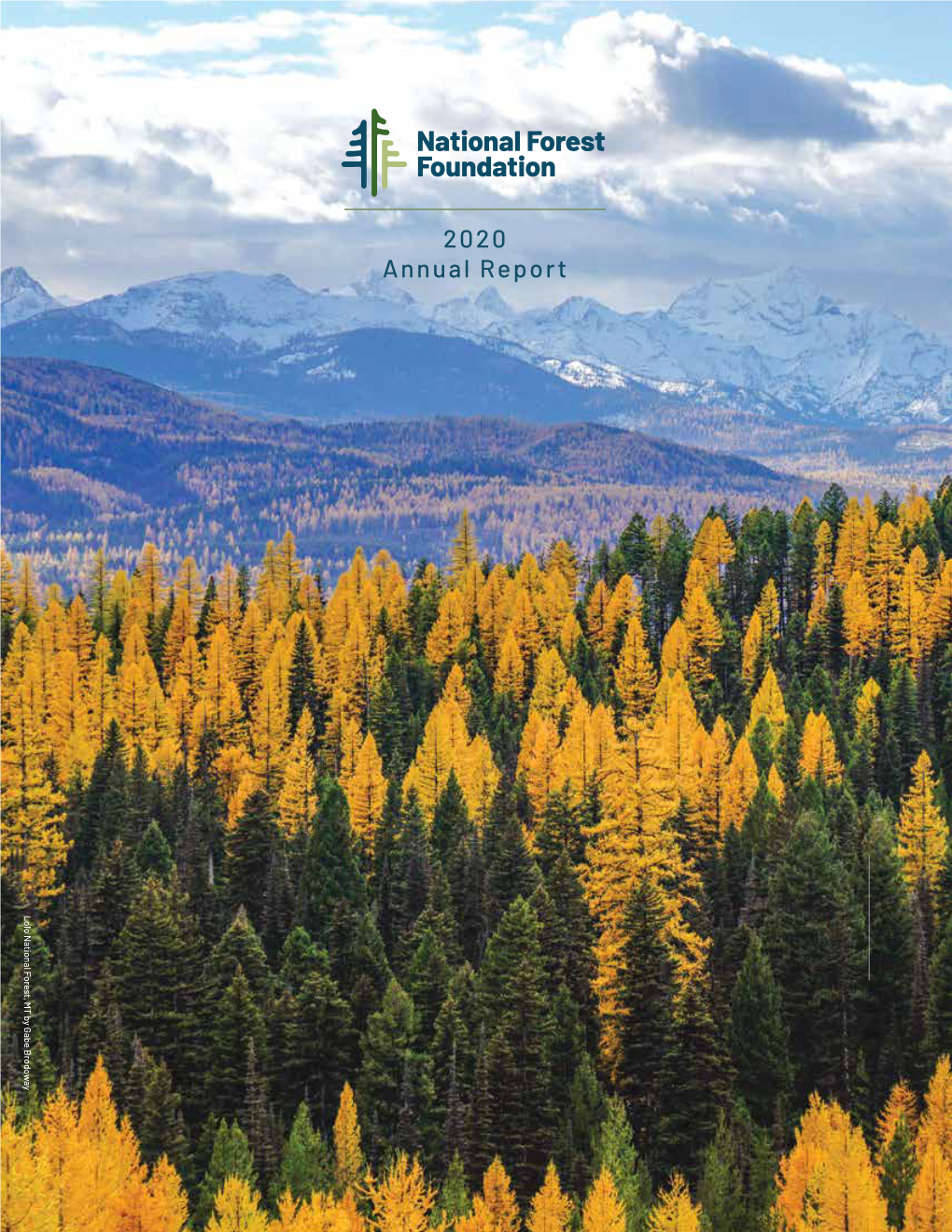 2020 Annual Report Lolo National Forest, MT by Gabe Brodoway Board of Directors Executive Committee Hat a Year It Has Been for All of Us