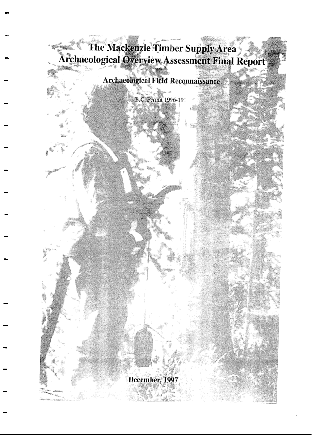 The Mackenzie Timber Supply Area Archaeological Overview Assessment Final Report