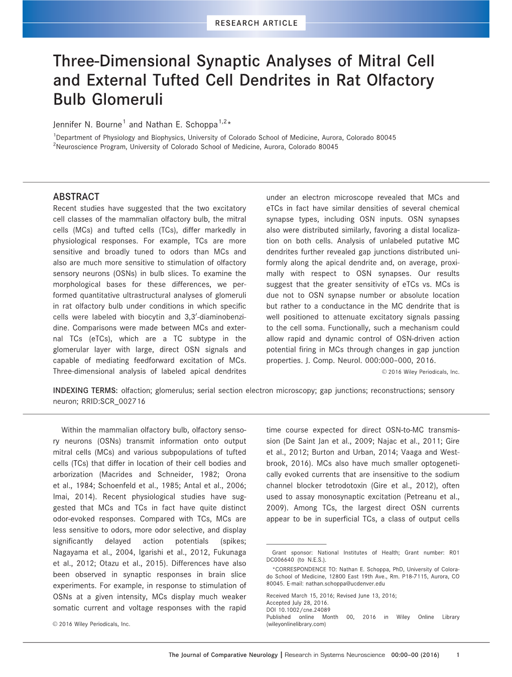 Dimensional Synaptic Analyses of Mitral Cell and External Tufted Cell Dendrites in Rat Olfactory Bulb Glomeruli