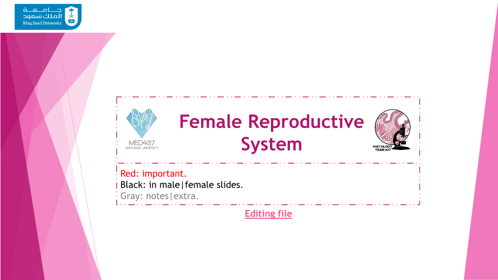 Female Reproductive System