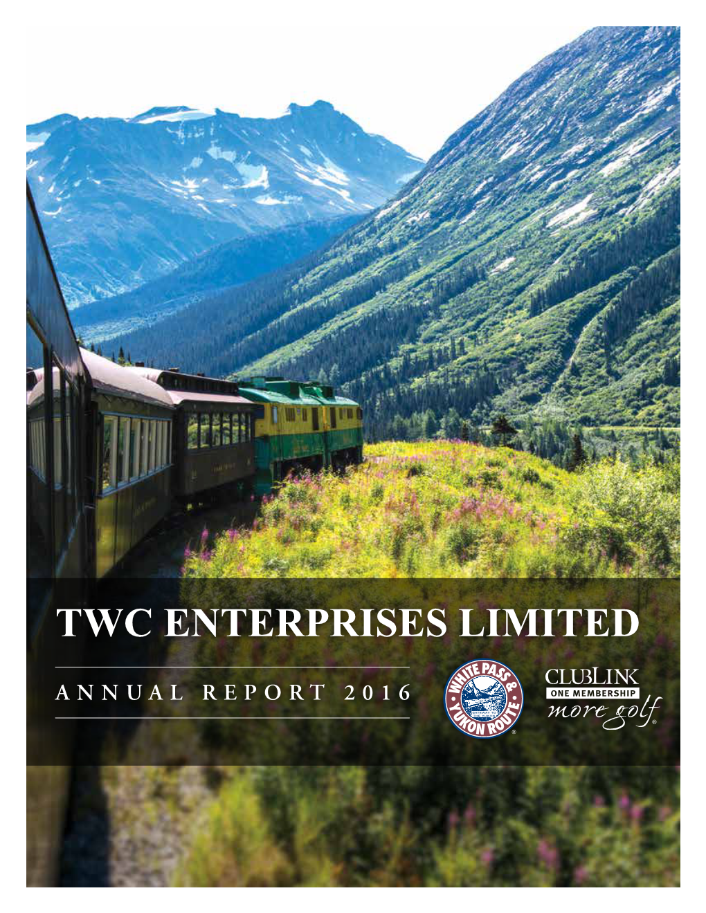 Twc Enterprises Limited