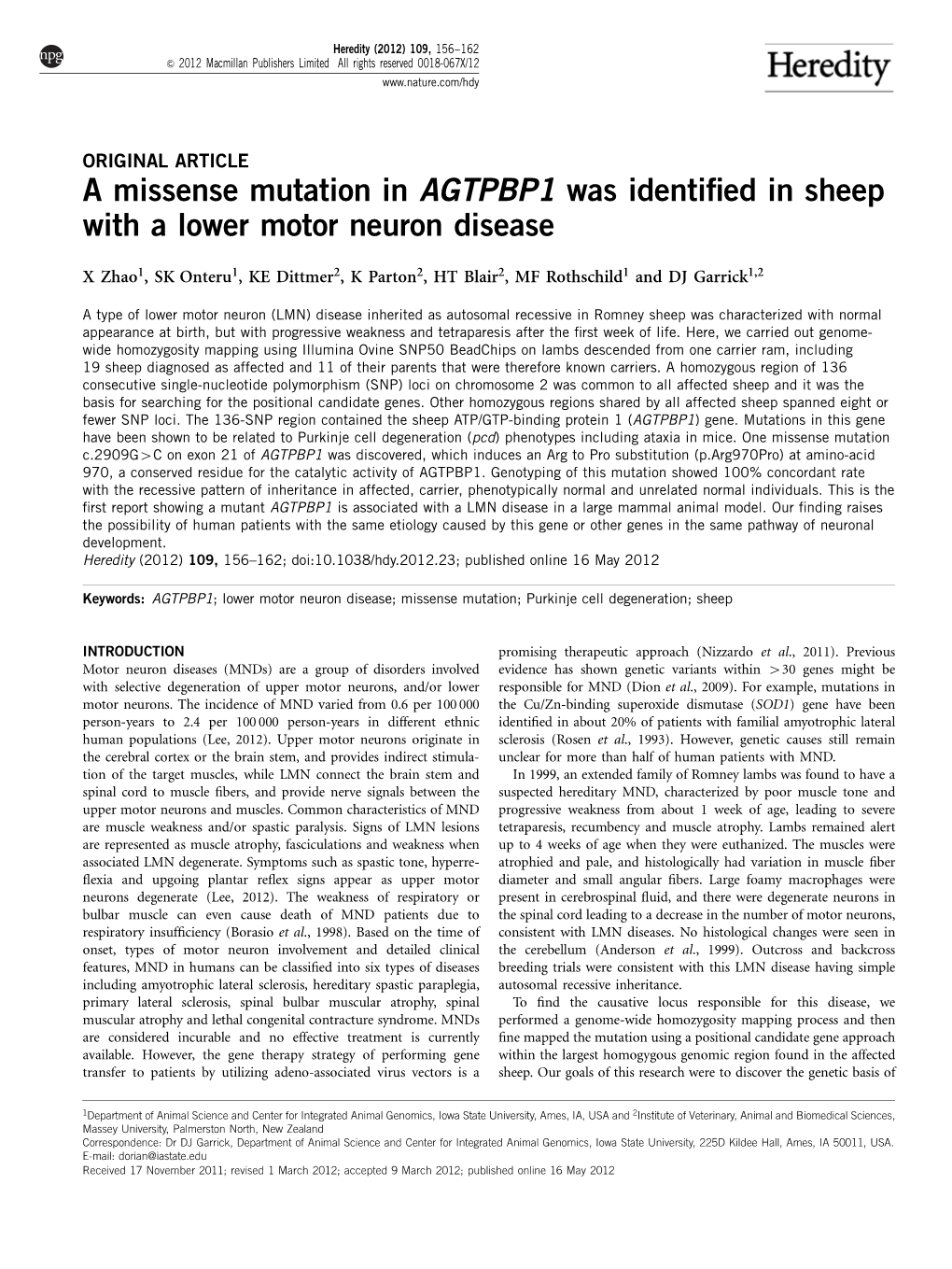 A Missense Mutation in AGTPBP1 Was Identified in Sheep with a Lower