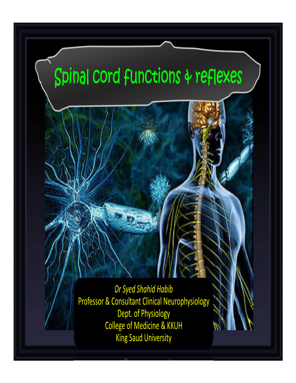 Spinal Cord Functions & Reflexes