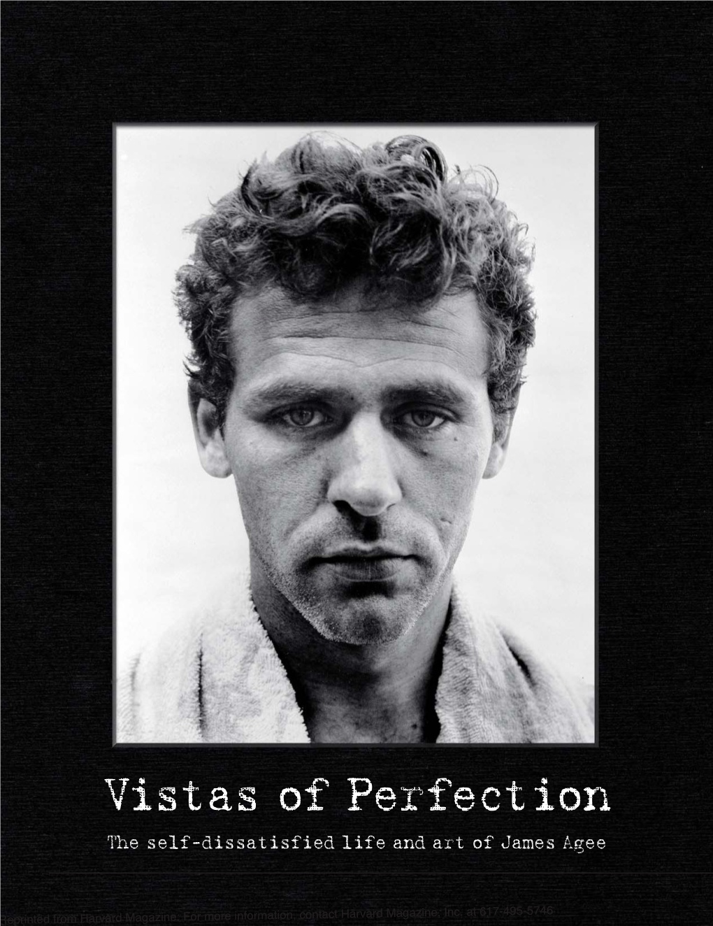 Vistas of Perfection the Self-Dissatisfied Life and Art of James Agee