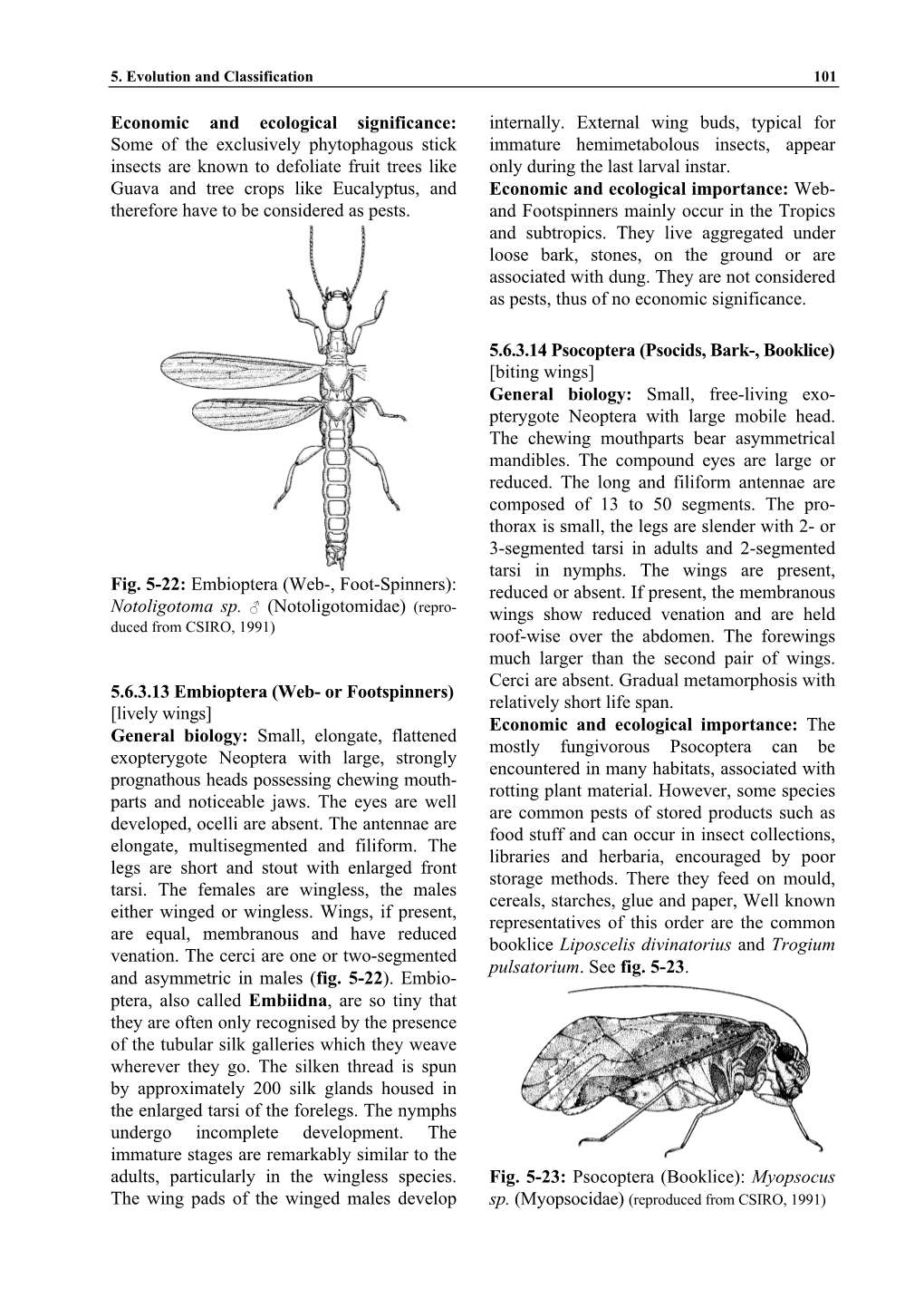 Some of the Exclusively Phytophagous Stick Insects Are Known to Defoliate Fruit Trees Like