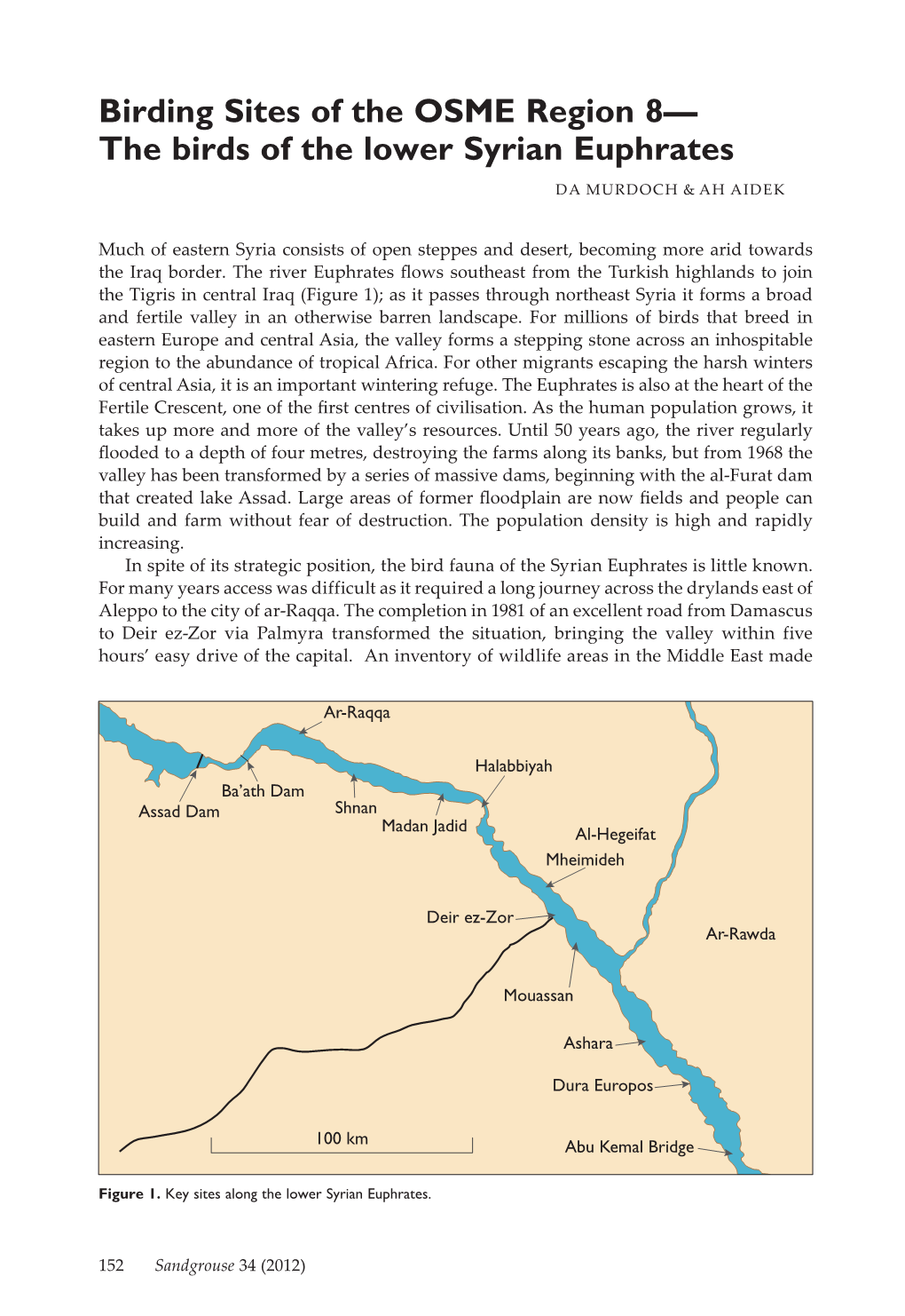 Birding Sites of the OSME Region 8— the Birds of the Lower Syrian Euphrates DA Murdoch & AH Aidek