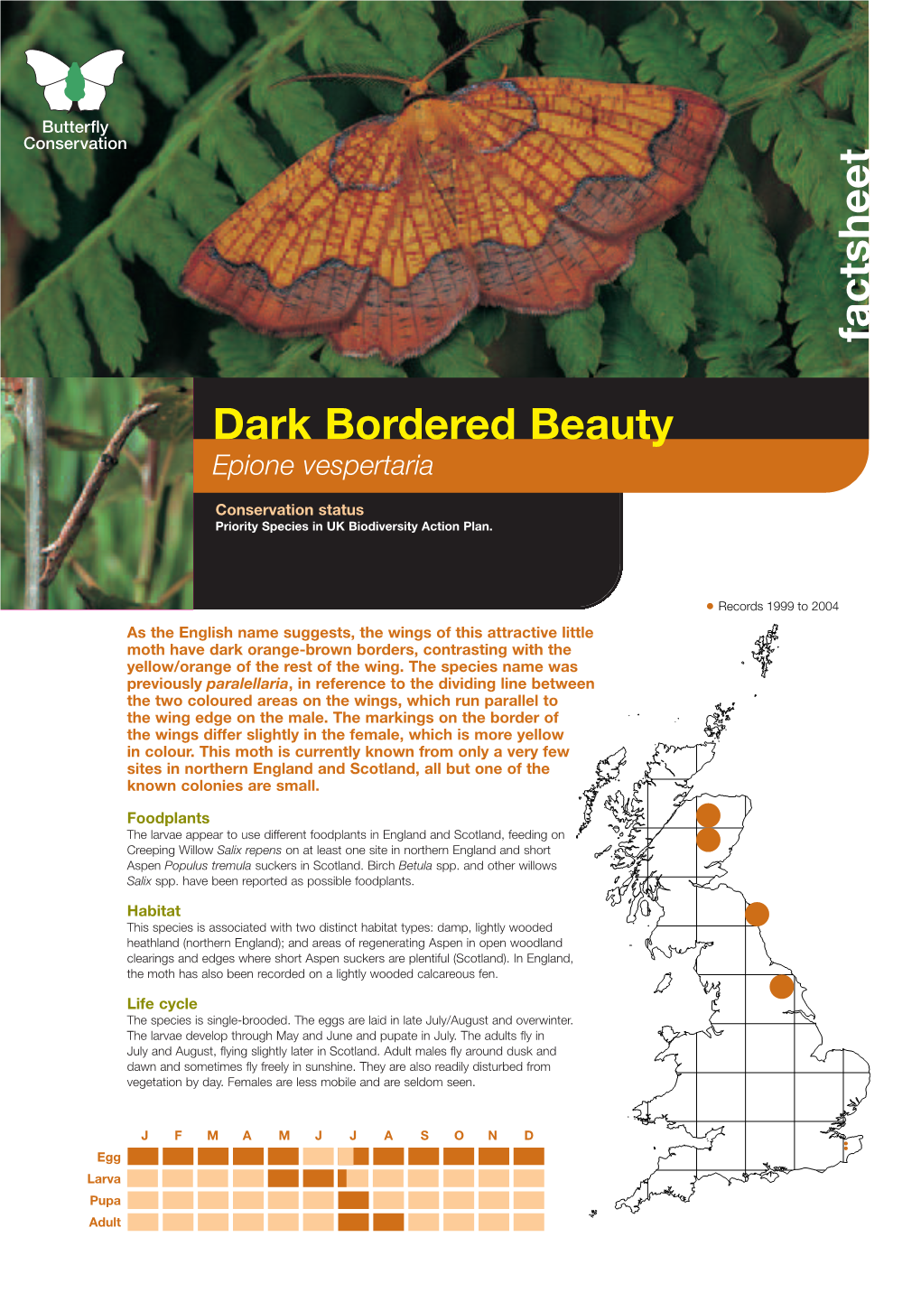 Dark Bordered Beauty Priority Species Factsheet