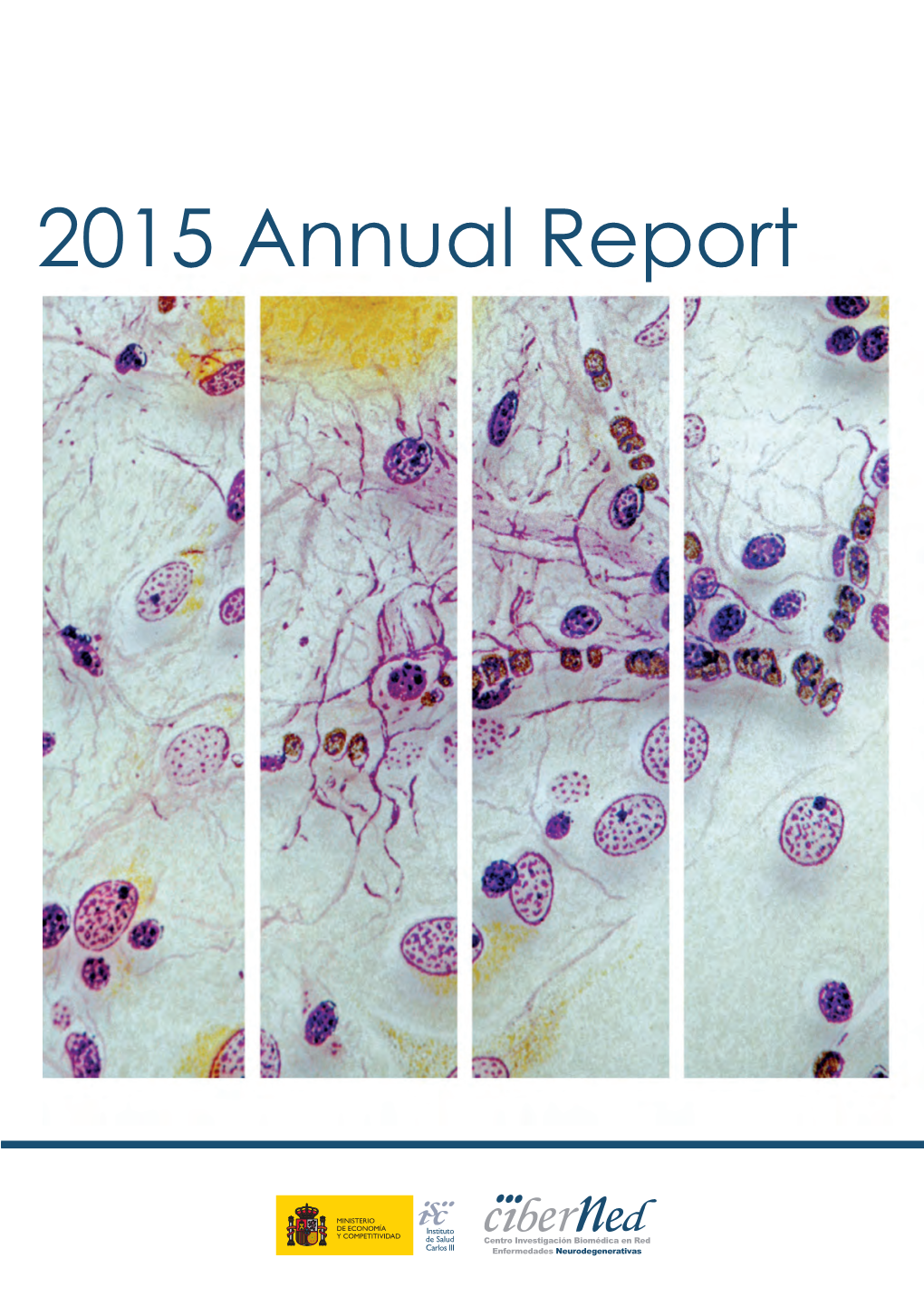 2015 Annual Report