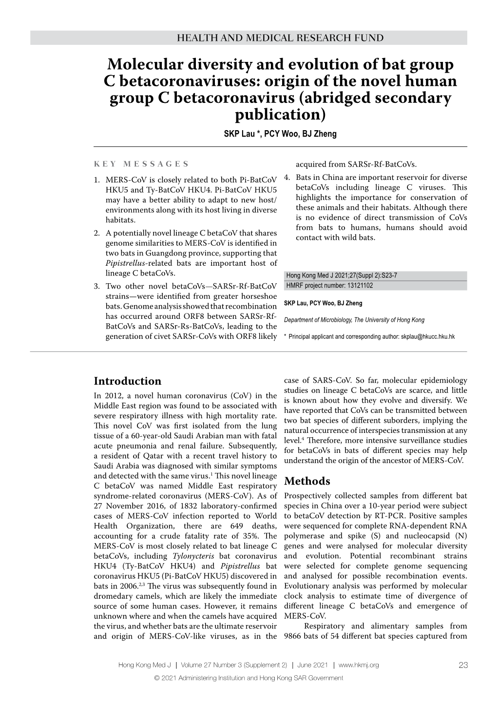 Molecular Diversity and Evolution of Bat Group C