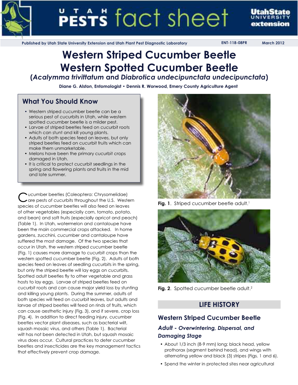 Cucumber Beetles Will Also Feed on Leaves of Other Vegetables (Especially Corn, Tomato, Potato, and Bean) and Soft Fruits (Especially Apricot and Peach) (Table 1)