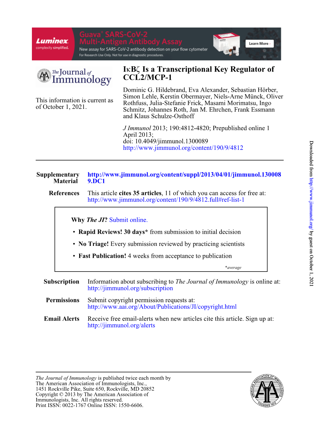 CCL2/MCP-1 Is a Transcriptional Key Regulator of Ζ B Κi