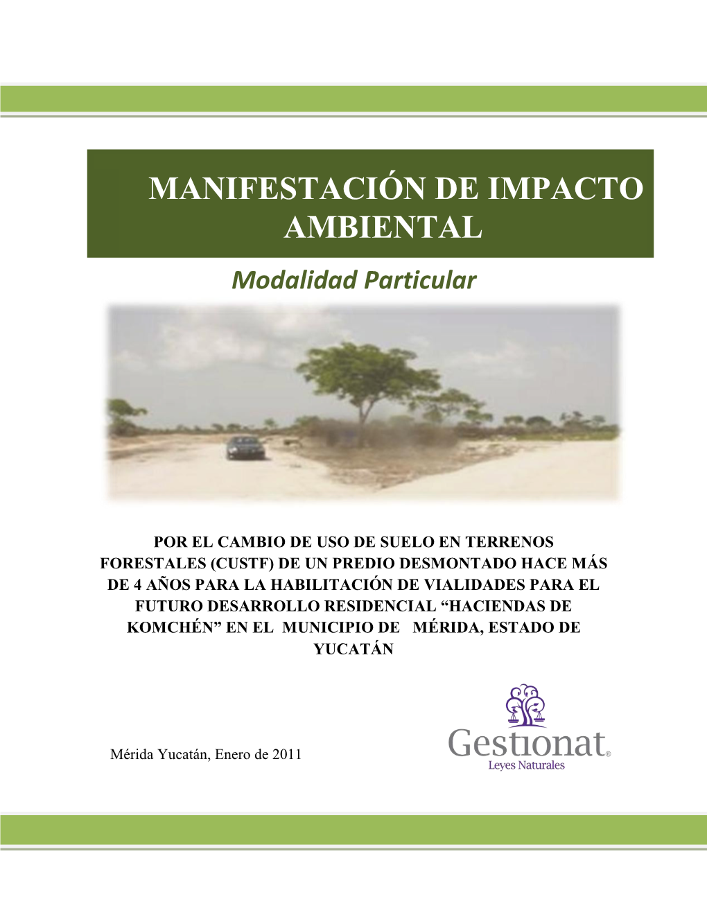 Manifestación De Impacto Ambiental 2